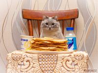 6378