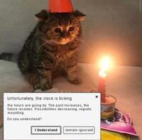 1004622
