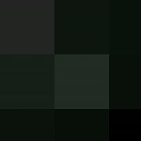 1007204