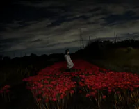 1007362