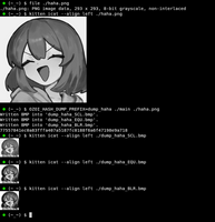 1001031